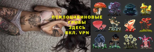 мяу мяу мука Белоозёрский