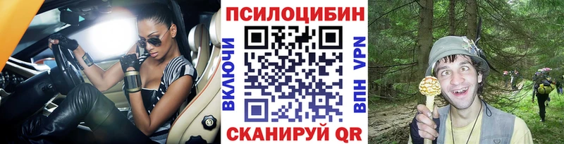 гидра онион  Судак  Псилоцибиновые грибы Magic Shrooms 